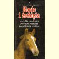 Konie i źrebięta - wszystko co o koniu powinien wiedzieć początkujący jeździec