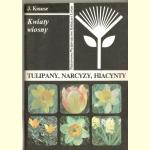 Tulipany, Narcyzy, Hiacynty